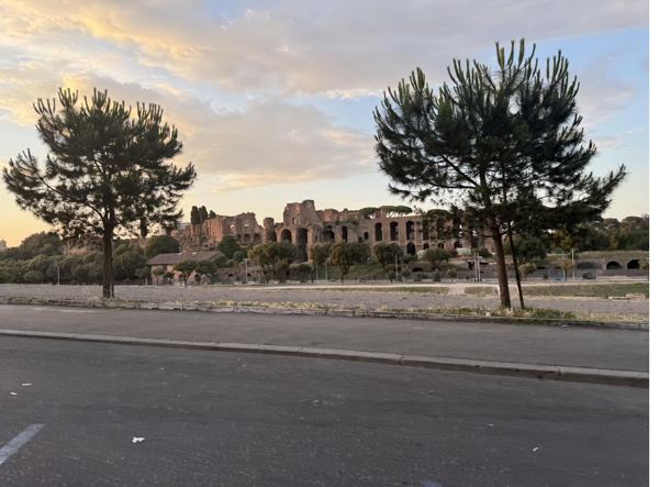 The Palatine Hill from the Circus Maximus